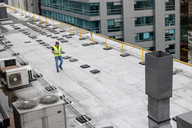 Best Skylight Installation and Repair  in Shepherd, MI