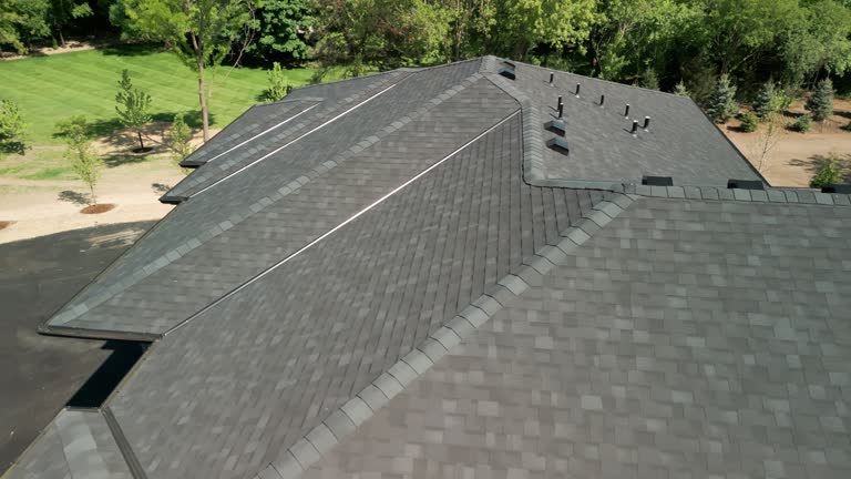 Best Roof Coating and Sealing  in Shepherd, MI