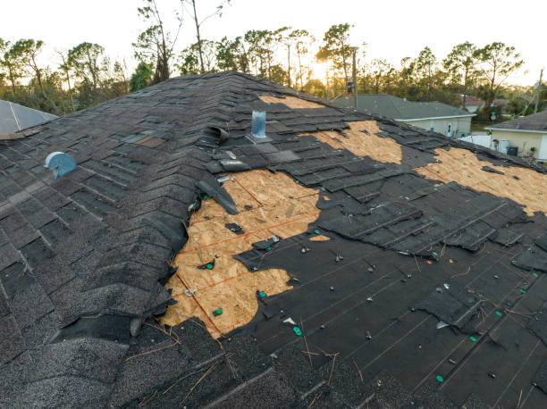Best Slate Roofing  in Shepherd, MI