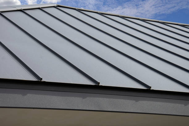 Best Metal Roofing Installation  in Shepherd, MI